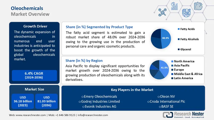 Oleochemicals Market Share